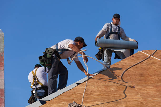 Best Flat Roof Repair Services  in Eagleville, PA